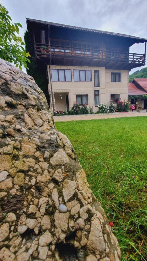 Pensiunea Belvedere Μπραν Εξωτερικό φωτογραφία