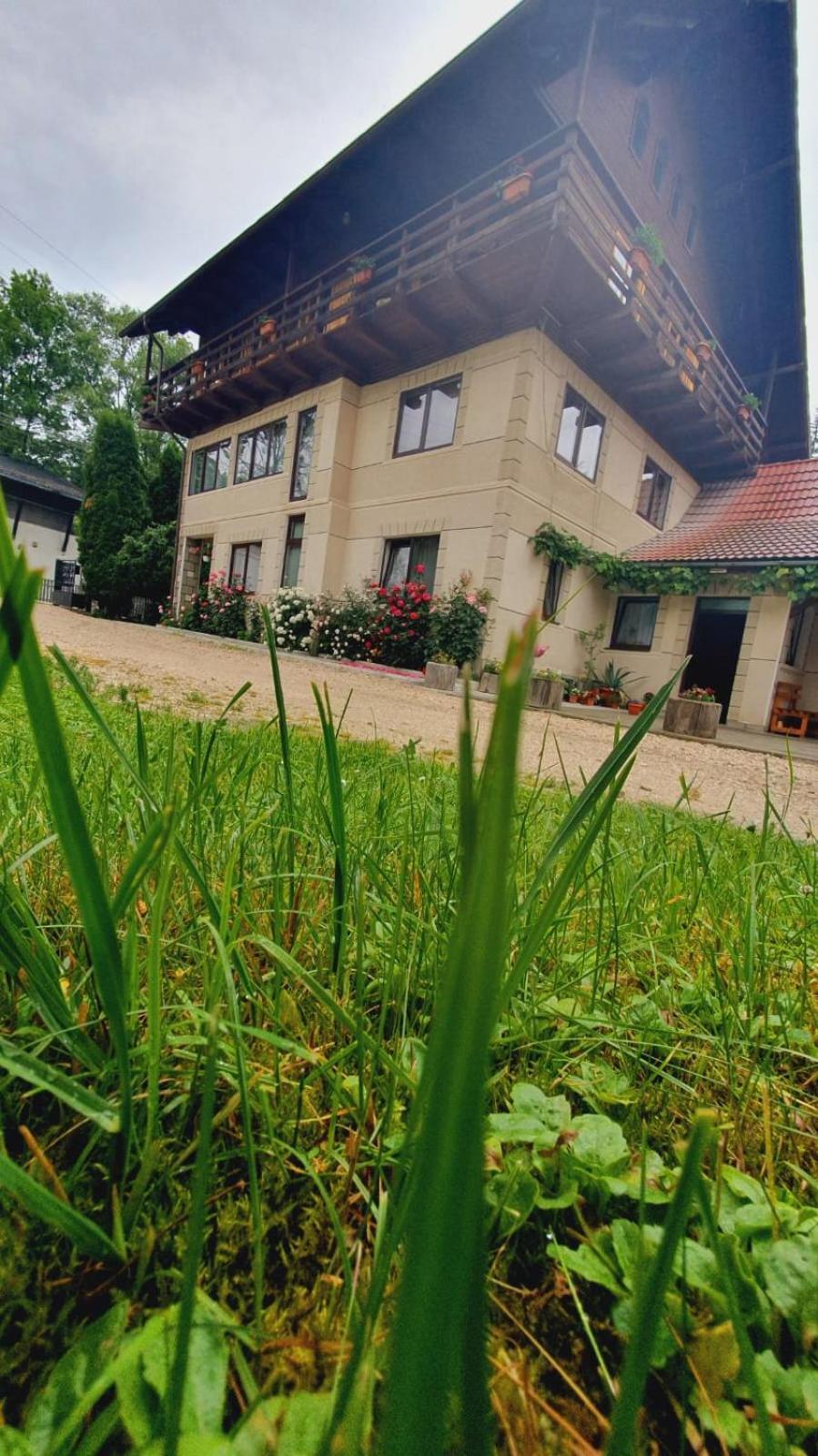 Pensiunea Belvedere Μπραν Εξωτερικό φωτογραφία