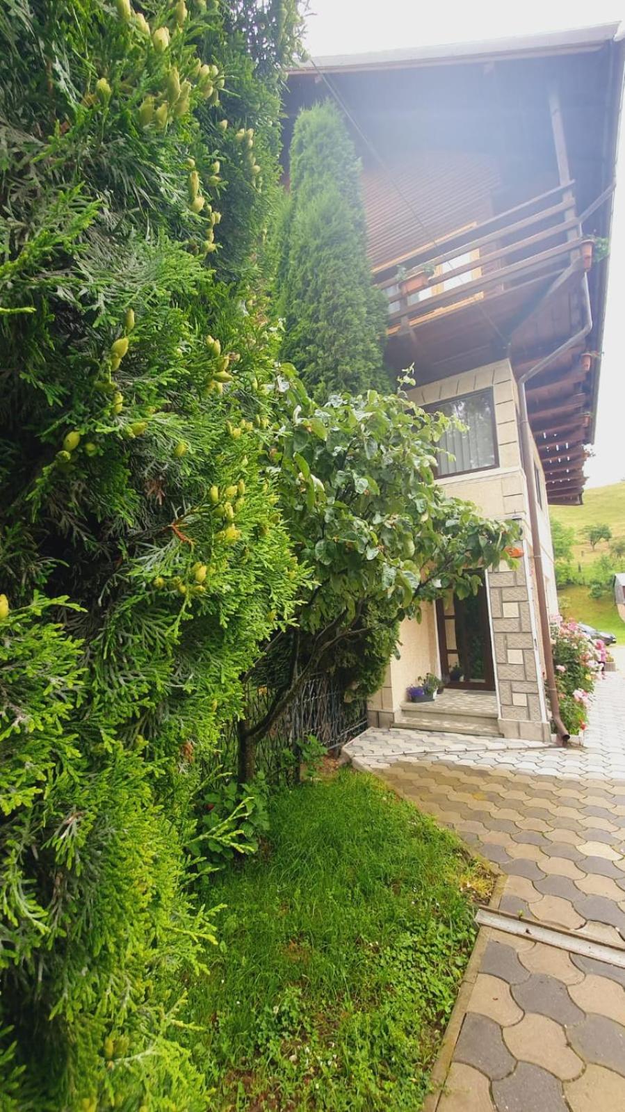 Pensiunea Belvedere Μπραν Εξωτερικό φωτογραφία