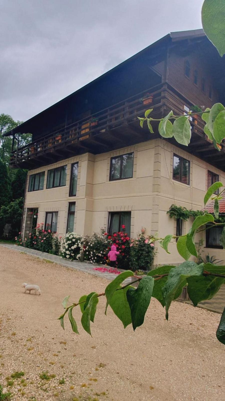 Pensiunea Belvedere Μπραν Εξωτερικό φωτογραφία