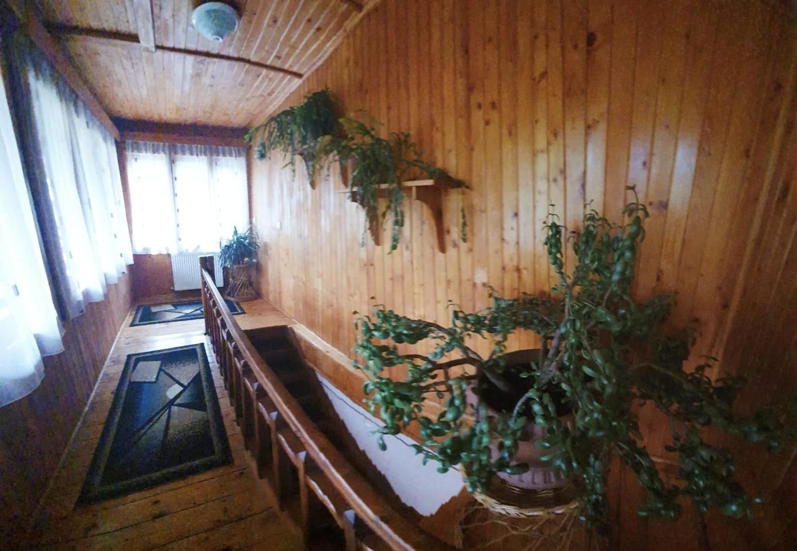 Pensiunea Belvedere Μπραν Εξωτερικό φωτογραφία