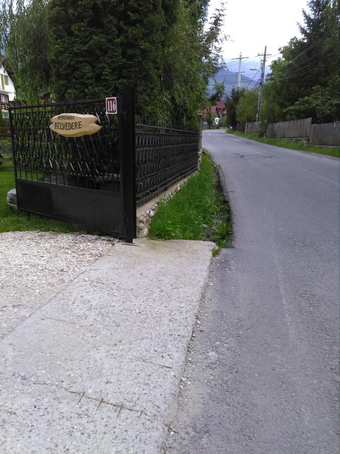 Pensiunea Belvedere Μπραν Εξωτερικό φωτογραφία